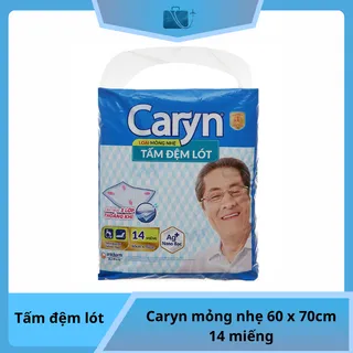 Tấm đệm lót Caryn mỏng nhẹ 60 x 70cm 14 miếng