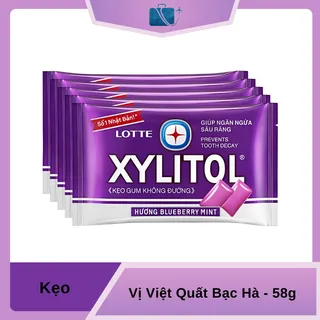 5 Vỉ Kẹo Gum Xylitol Không Đường Vị Việt Quất Bạc Hà 58g