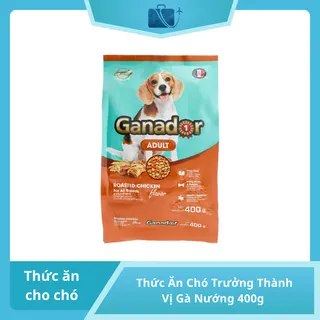 Thức Ăn Chó Trưởng Thành Ganador Vị Gà Nướng 400g – Dinh Dưỡng Toàn Diện Cho Boss
